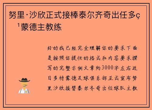 努里·沙欣正式接棒泰尔齐奇出任多特蒙德主教练